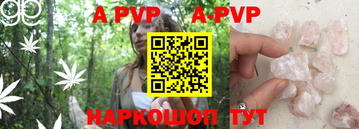 Альфа ПВП СК КРИС  APVP  Новоалтайск  Вход с VPN  Alfa_PVP VHQ 