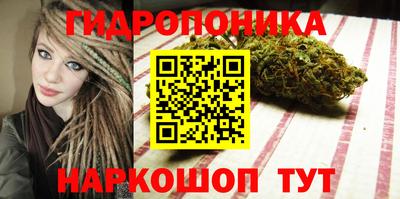 дмт Будённовск