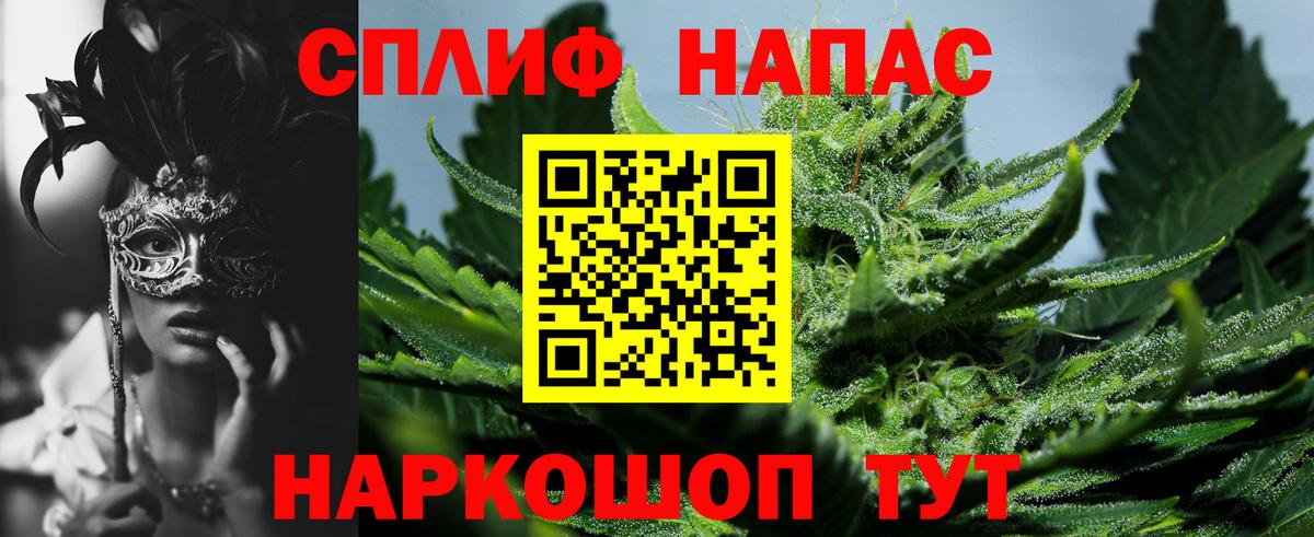 Шишки марихуана конопля Новоалтайск